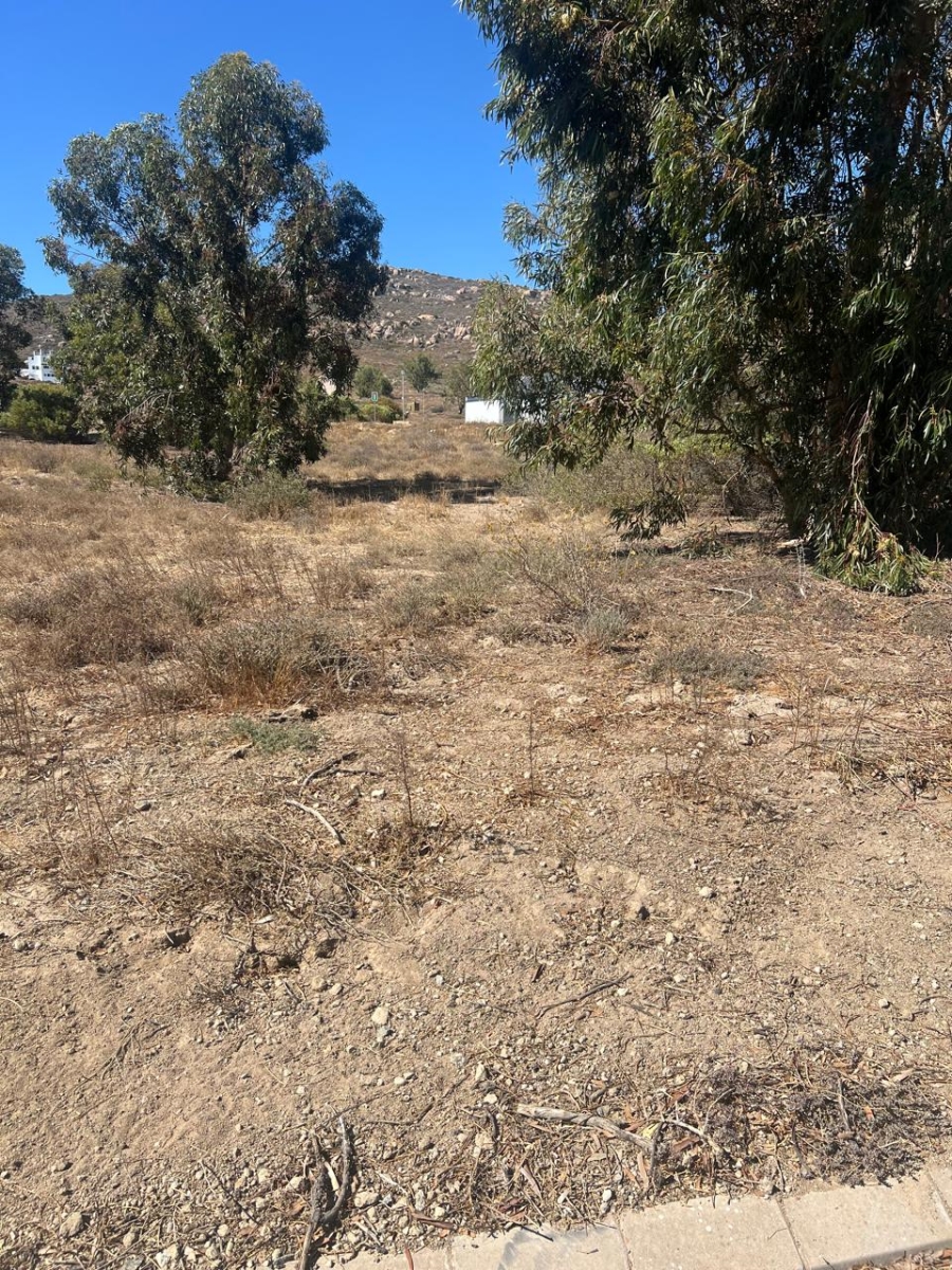 Commercial Property for Sale in St Helena Views Western Cape